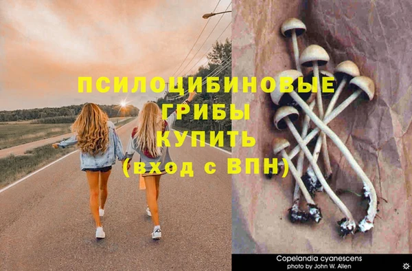 бутират Абинск