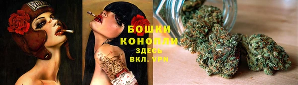 дмт Каменногорск