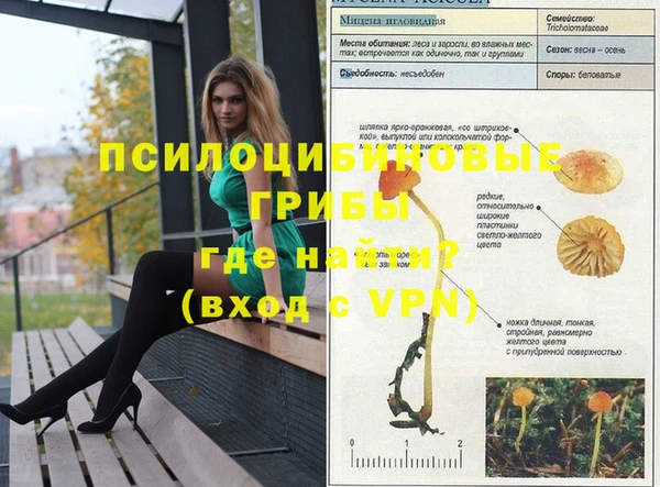 мдпв Пестово