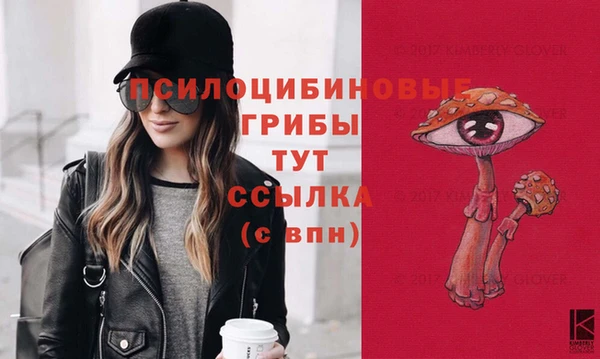 кристаллы Абаза